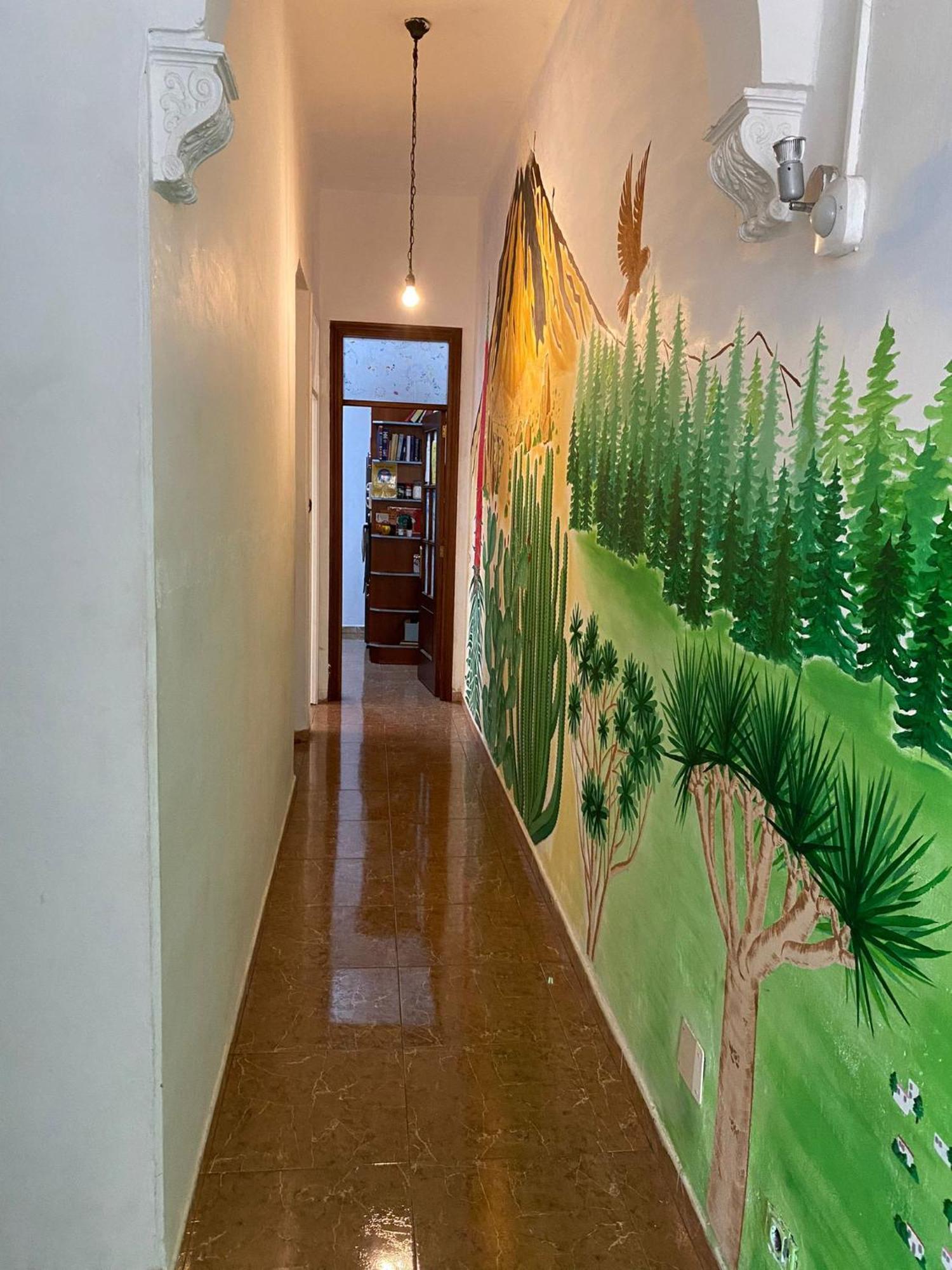Drago Hostel إيكود ذي لوس فينوس المظهر الخارجي الصورة