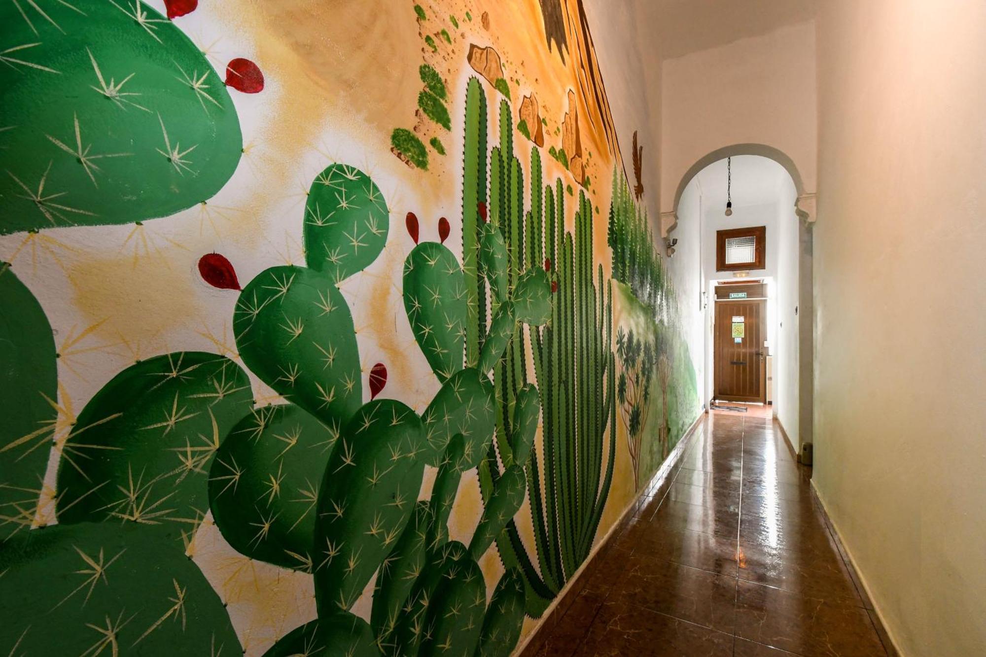 Drago Hostel إيكود ذي لوس فينوس المظهر الخارجي الصورة